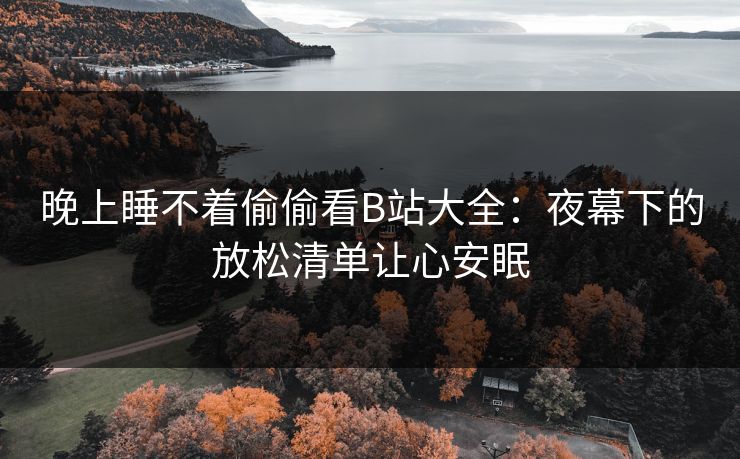 晚上睡不着偷偷看B站大全：夜幕下的放松清单让心安眠