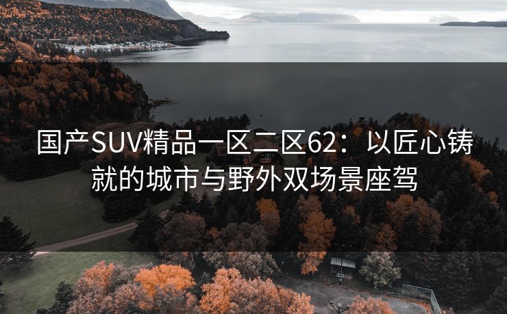 国产SUV精品一区二区62：以匠心铸就的城市与野外双场景座驾