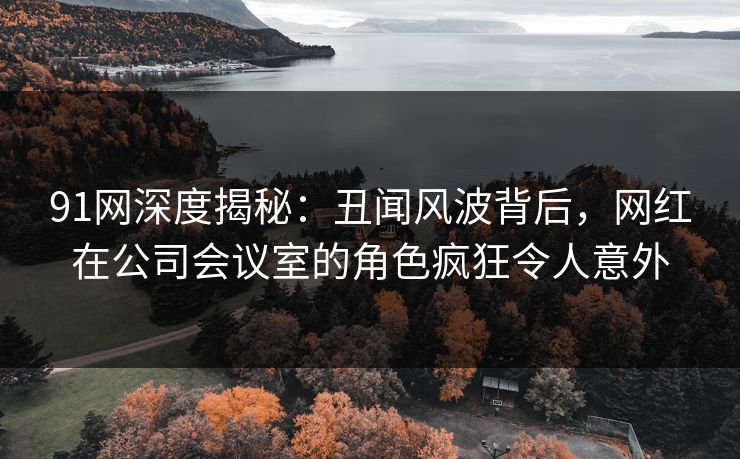91网深度揭秘：丑闻风波背后，网红在公司会议室的角色疯狂令人意外