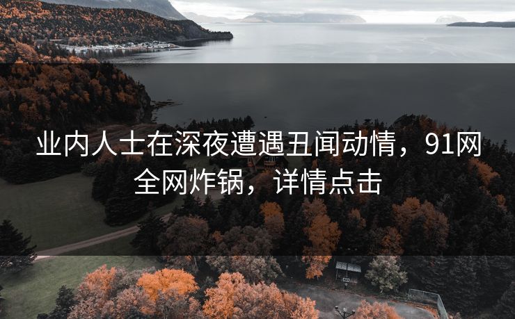 业内人士在深夜遭遇丑闻动情，91网全网炸锅，详情点击