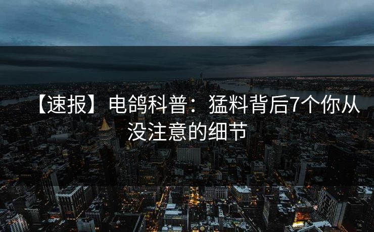 【速报】电鸽科普：猛料背后7个你从没注意的细节