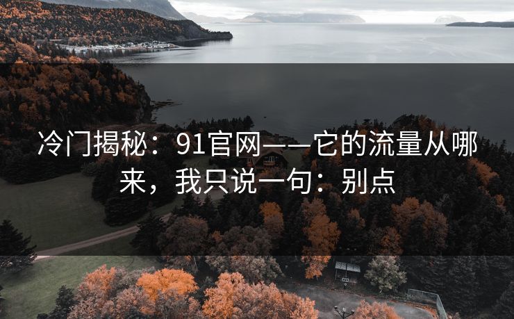 冷门揭秘：91官网——它的流量从哪来，我只说一句：别点