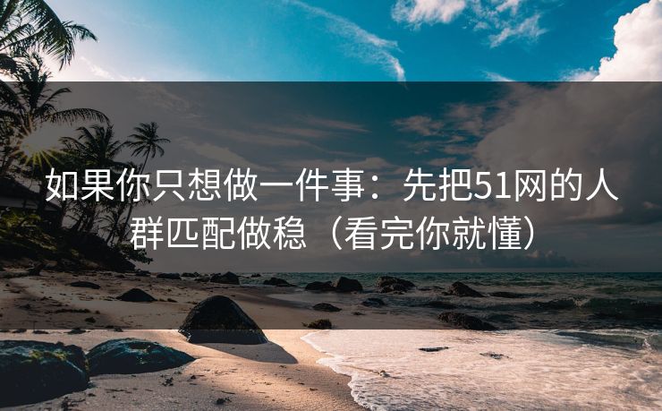 如果你只想做一件事：先把51网的人群匹配做稳（看完你就懂）